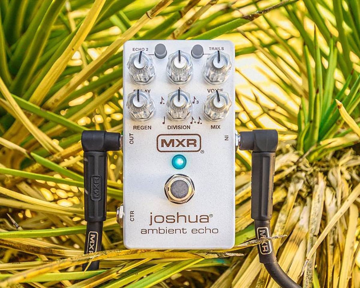 M309 Joshua Eco ambiente