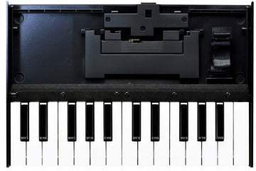 K-25M