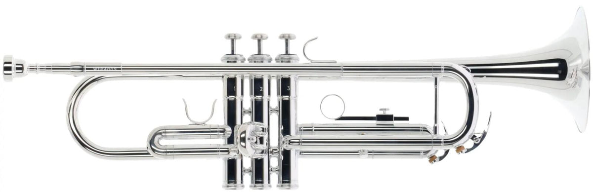 Woodbrass WTP400S - Sib Prateada