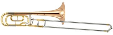 YBL-421GE PINTADO