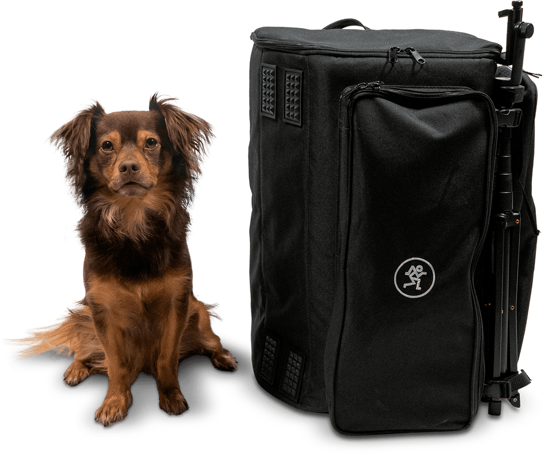 Showbox Mochila