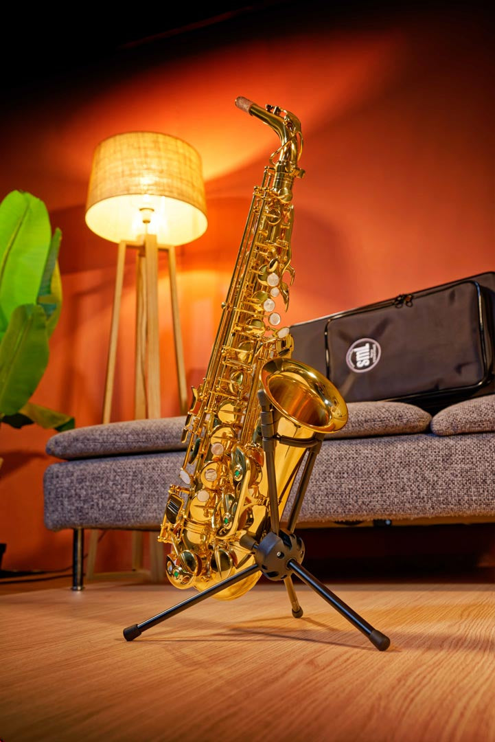 Vendôme Saxofone Alto Mib Envernizado VA-2000