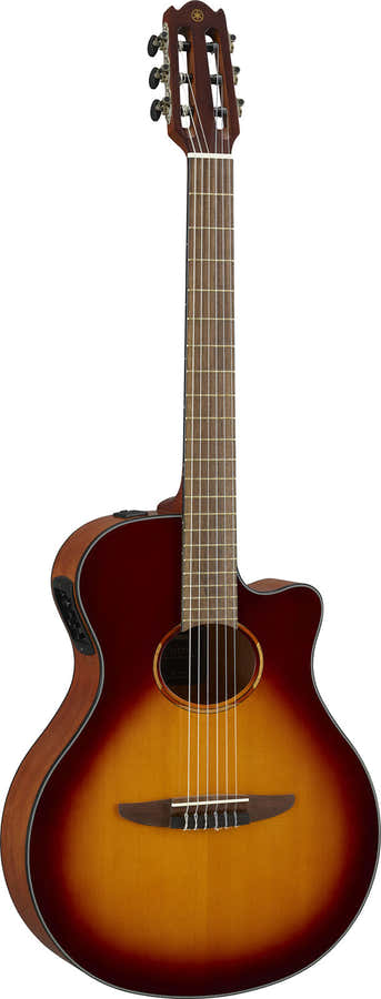 Ntx1 Sunburst castanho