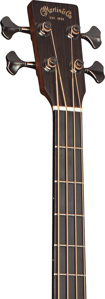 Bc-16E Bass