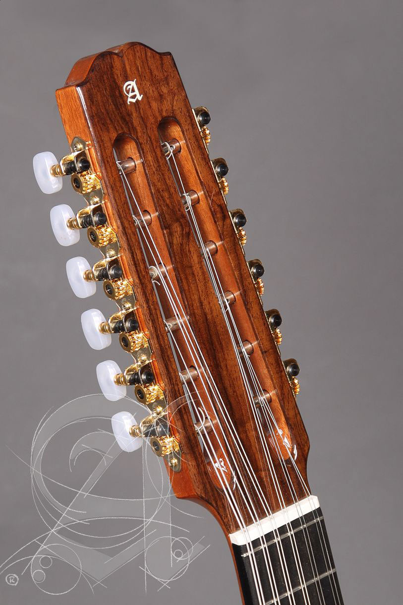 Conservatory L-4P Lutes + 9534 Gigbag
