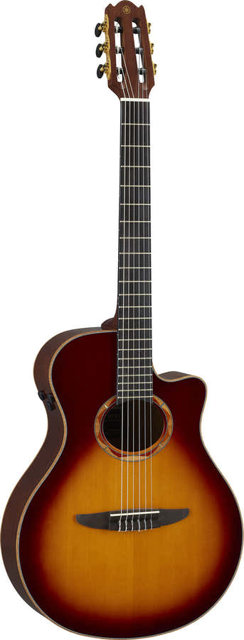 Ntx3 Sunburst castanho