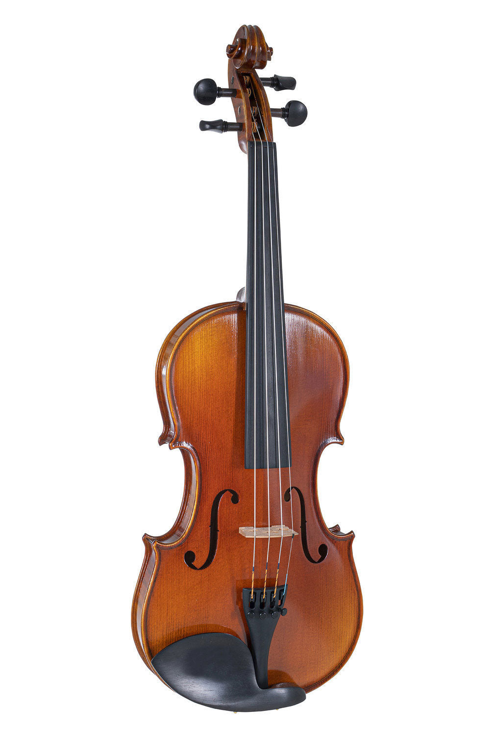 Gewa 4/4 VIOLIN PREPARED FOR PLAYING PROFILED CASE MASSARANDUBA BOW LARSEN IL CANNONE STRINGS