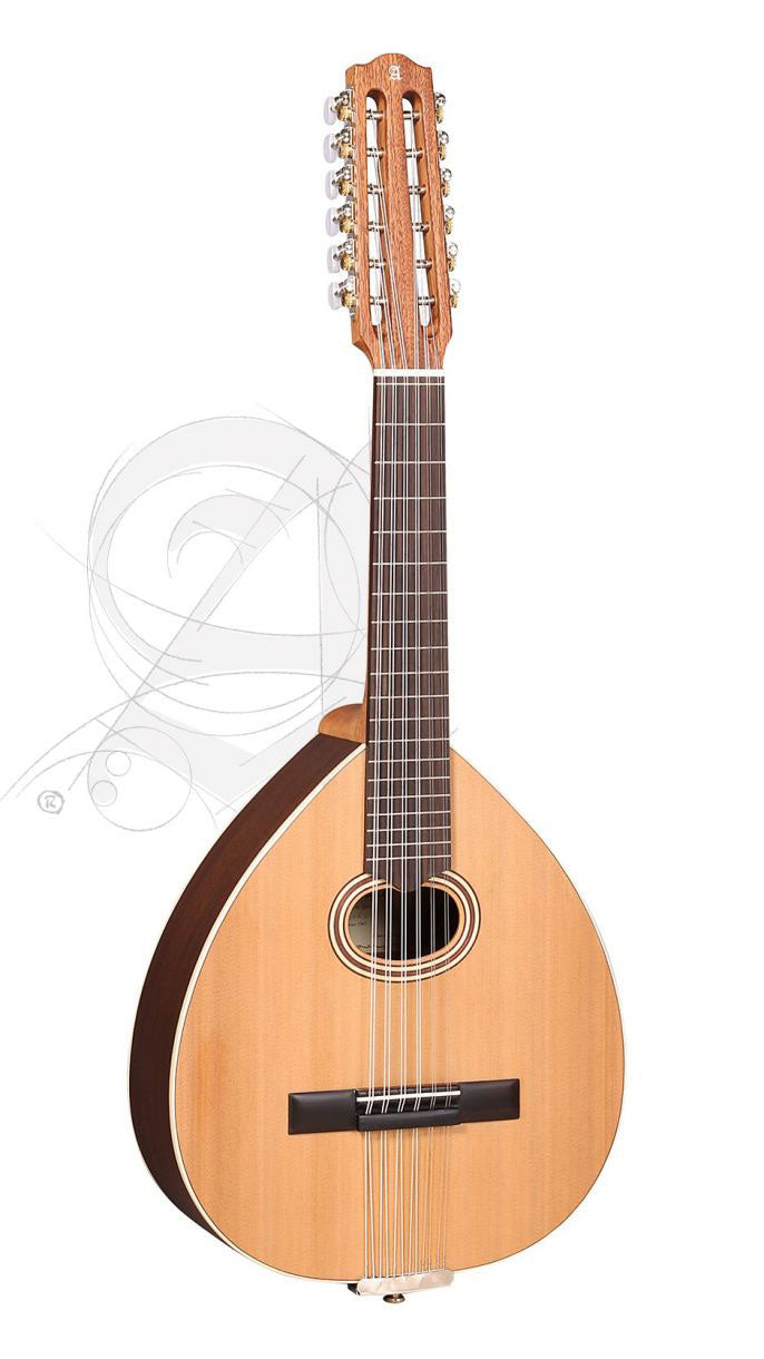 Student L-2C Op Lutes + 9534 Gigbag