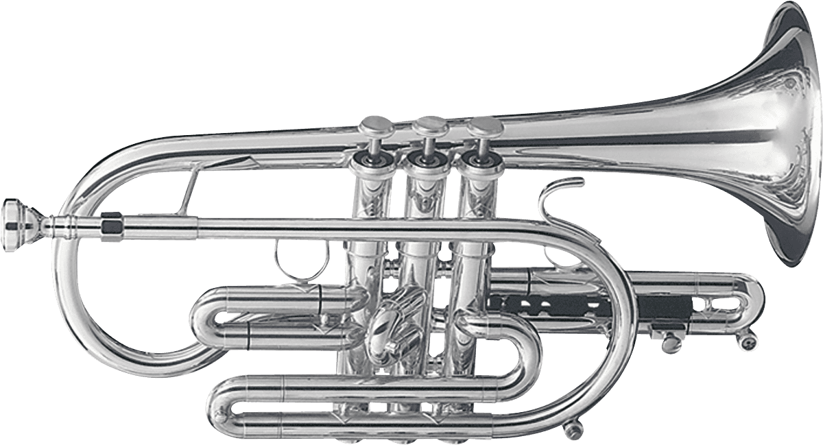 Getzen Eterna 800S Latão Prateado