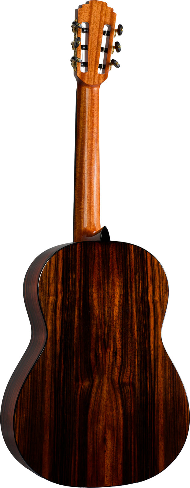 P800 Expression 4/4 + Gigbag