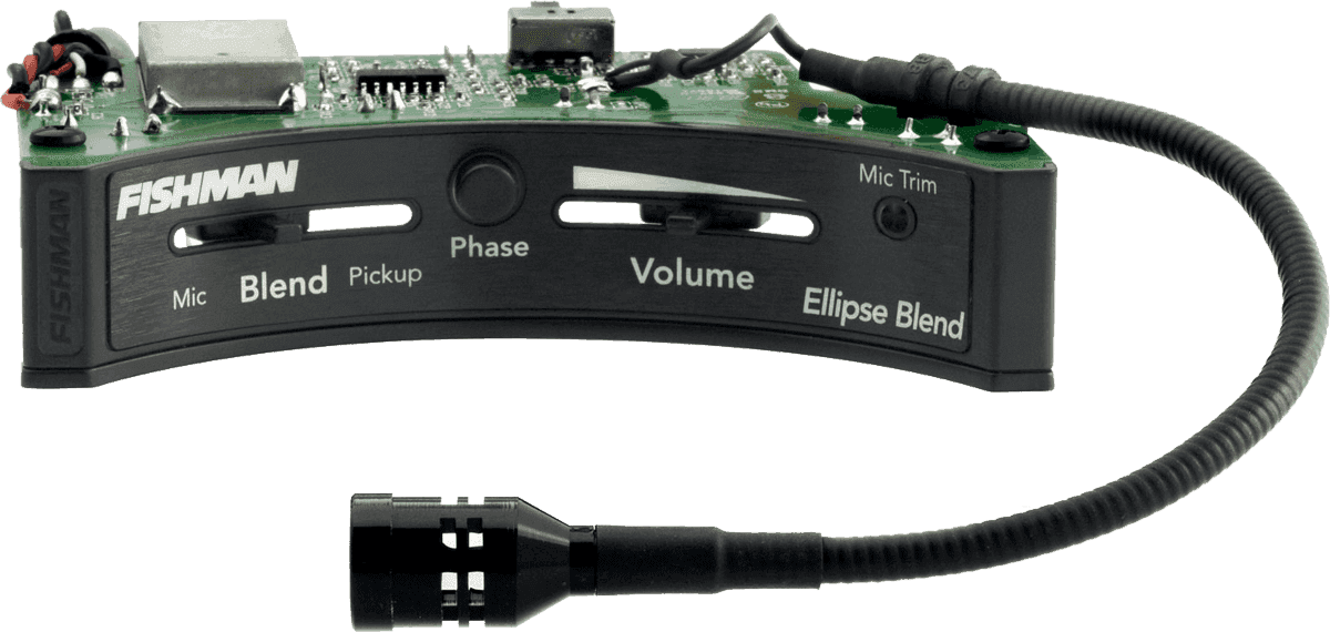 ELLIPSE MATRIX BLEND UNDERSADDLE PICKUP