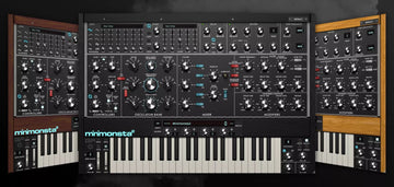 Minimonsta2
