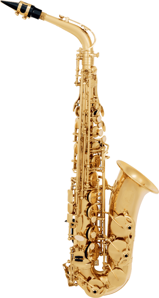 Saxofone Alto Principiante Envernizado A300