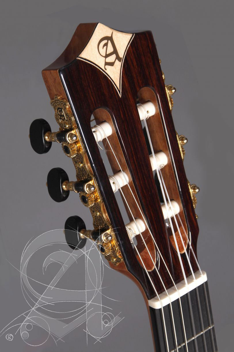 Concert Cs-3 Cw E8 Crossover + 9738 25mm Gigbag