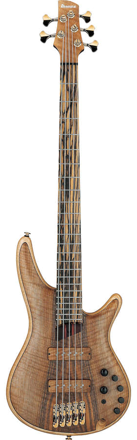 IV1SR Ibanez VISIONS