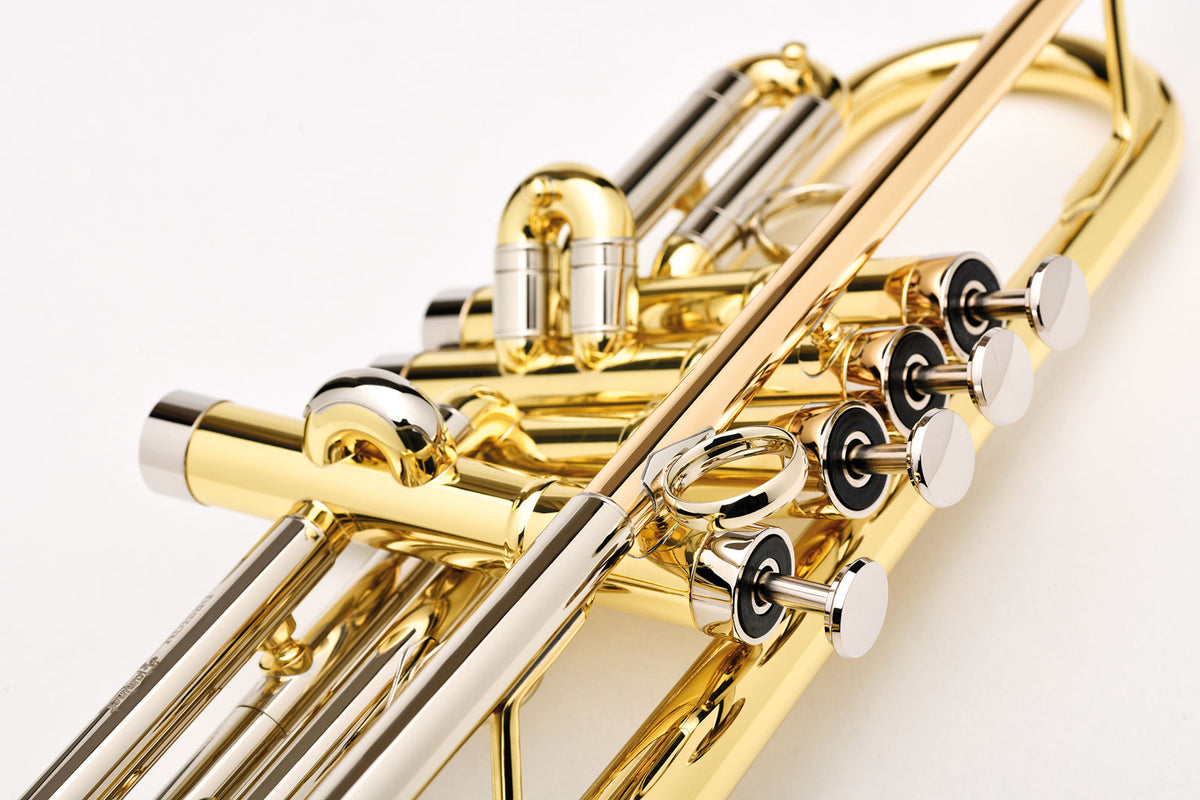 TOMA BB LACQUERED (ACTOMA-1-0)