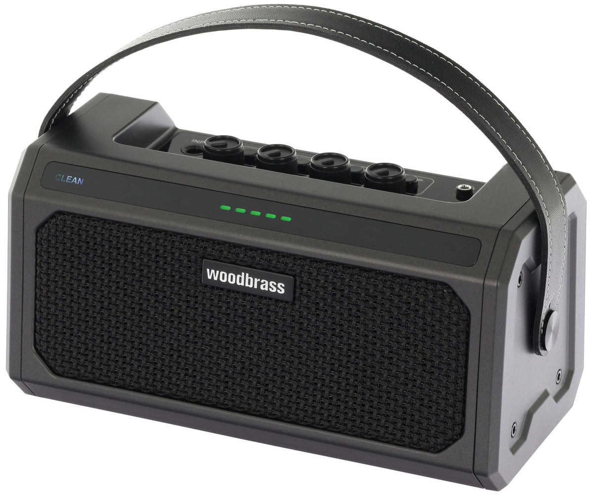Woodbrass GE10 10W Preto