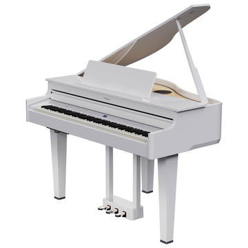 GP-6 Branco