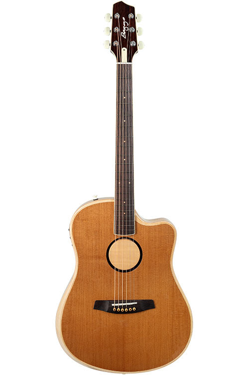 Aeg-1 Torrificado