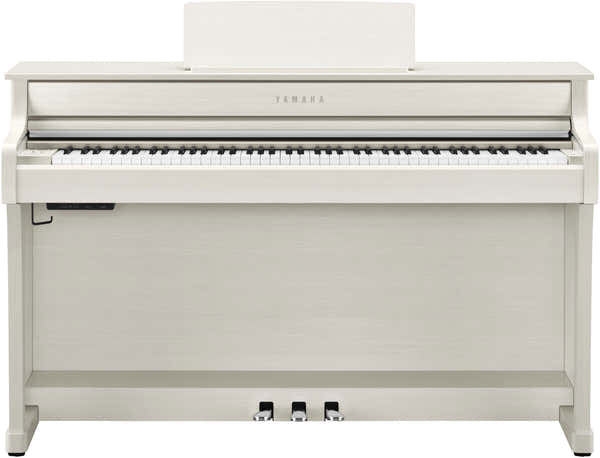 CLP-835 Bétula branca