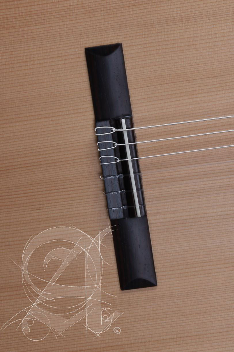 Student Z-Nature Cw Ez + 9738 25mm Gigbag