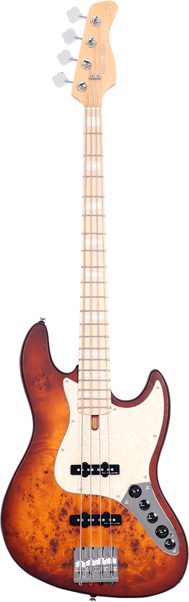 Er V7 Swamp Ash Reissue-4 Ts.S Sunburst tabaco