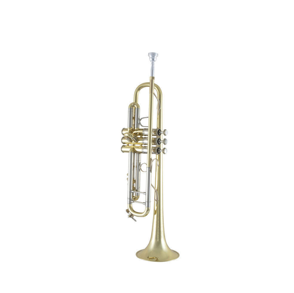 190S43 - Bb STRADIVARIUS LACADO