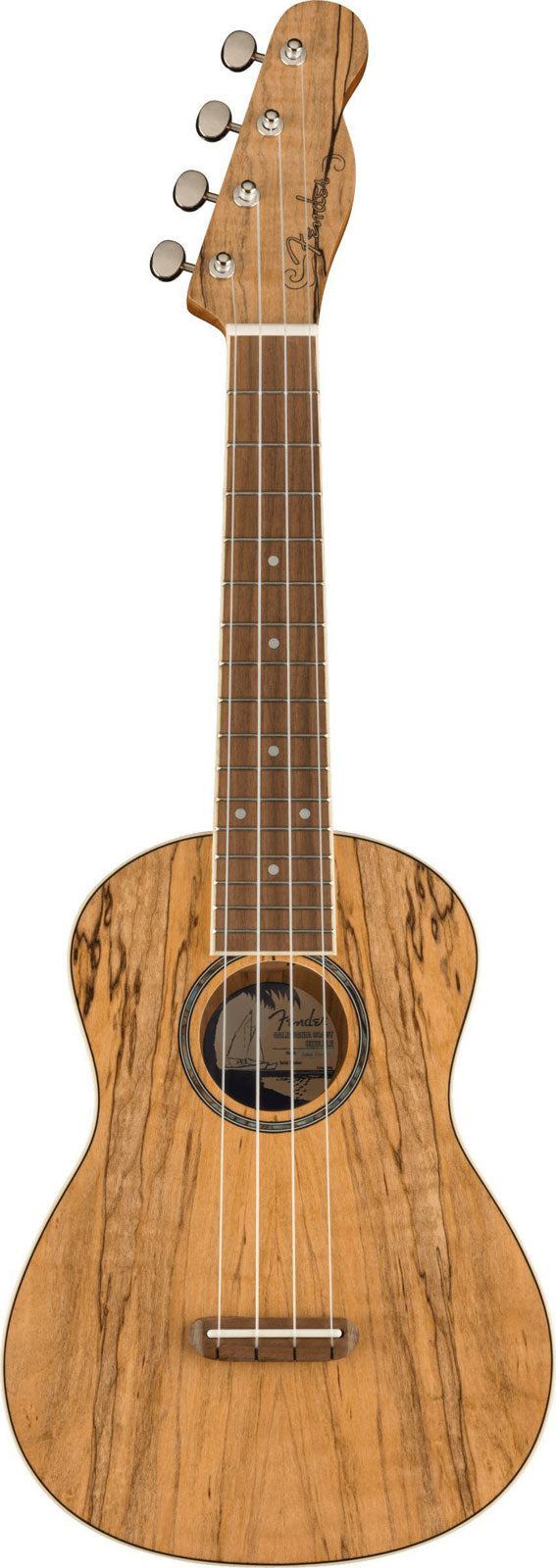 Zuma Uke Exótico Concerto Wn Spalted Maple