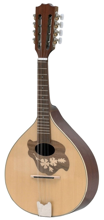 Flat Mandolin Pro Arte Model 2 High Gloss