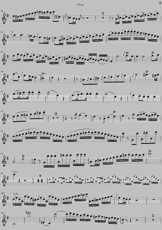 Mozart W.a. - Concerto For Flute And Orchestra G Major KV 313