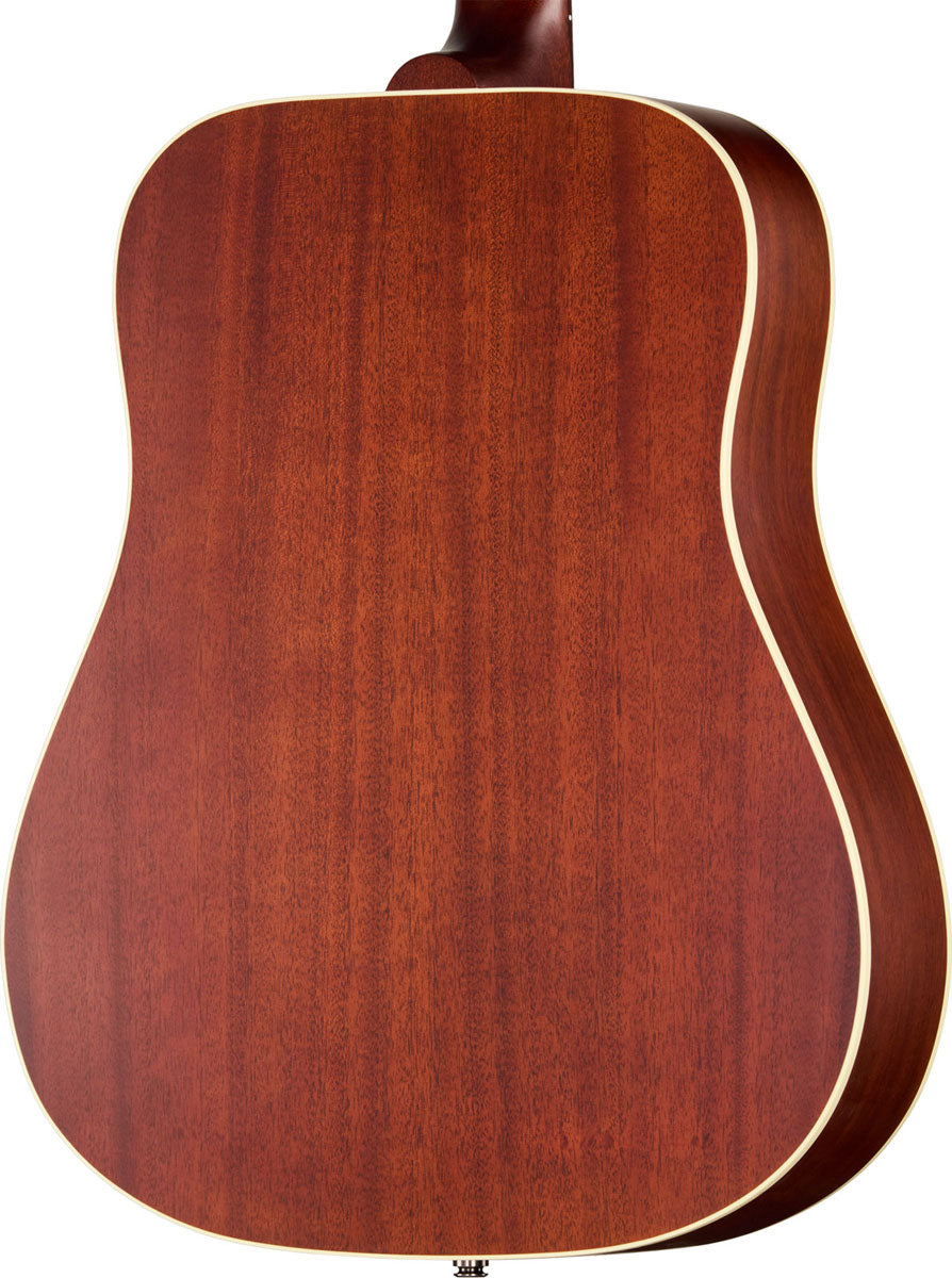 Hummingbird Special Honey Burst acetinado Moderno