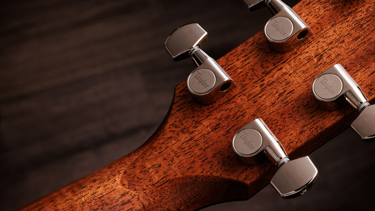 Gold Label 514e Sunburst com escudo creme Grand Auditorium
