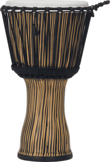 PBJVR10-698 Com afinação por corda Zebra Glass 10
