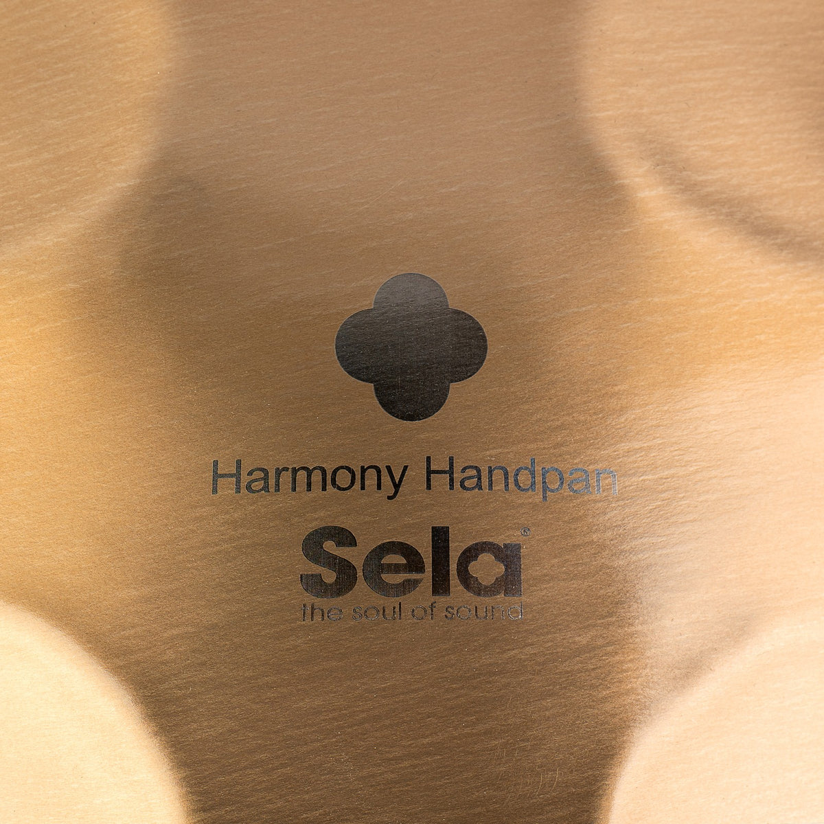 Harmony Handpan D Kurd 11+2 - Stainless Steel
