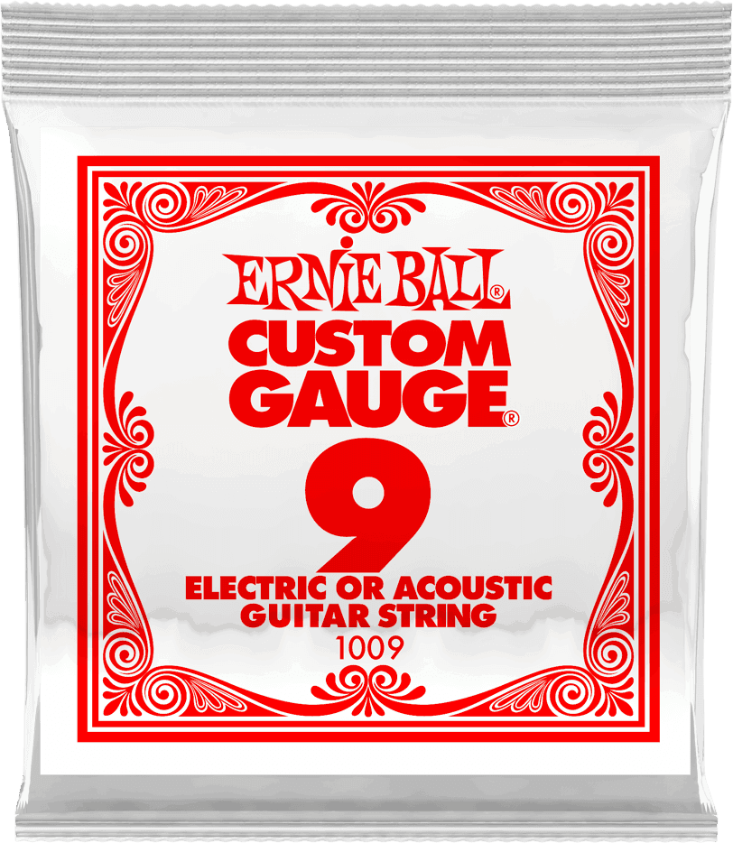 Ernie Ball P01009 SINGLE STRING 009