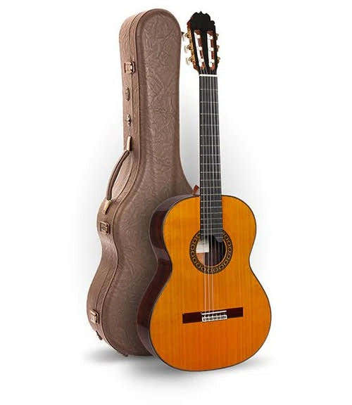 Professional Luthier Moncabrer Nitro + 9650 Bam Iconic Case