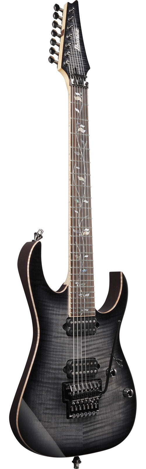 RG8527-BRE Rutilo preto J.custom