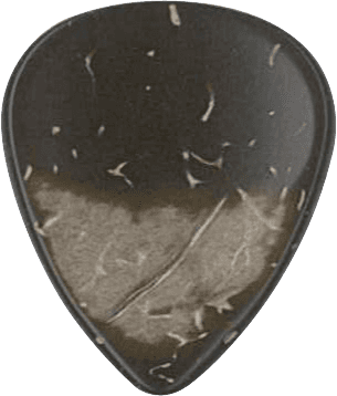 GUITAR  COCKLE COCONUT
