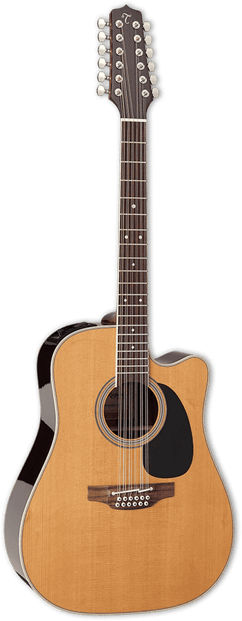 Japan Tt Dreadnought Cutaway Electro