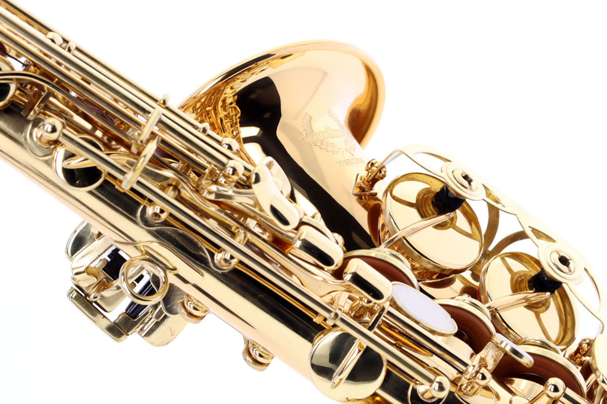 WSSC300 - Soprano Curvo Sib Envernizado