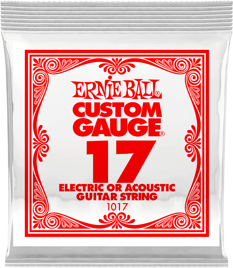Ernie Ball .017 PLAIN STEEL ELECTRIC OR ACOUSTIC GUITAR STINGS