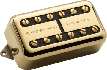 PSYCLONE HUMBUCKER EASEL GOLD
