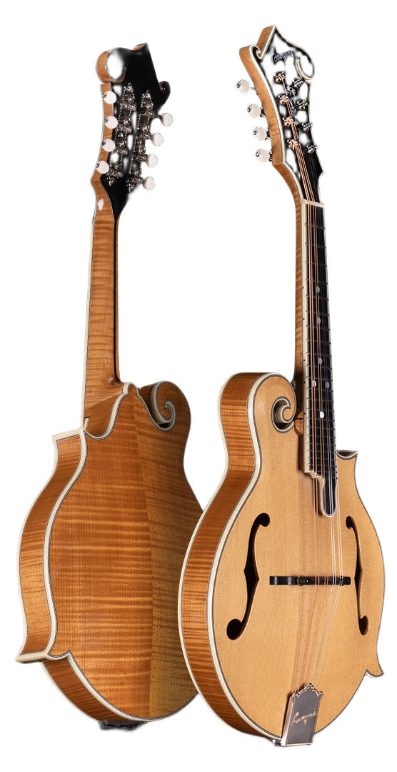 Bourgeois Guitars M5-F