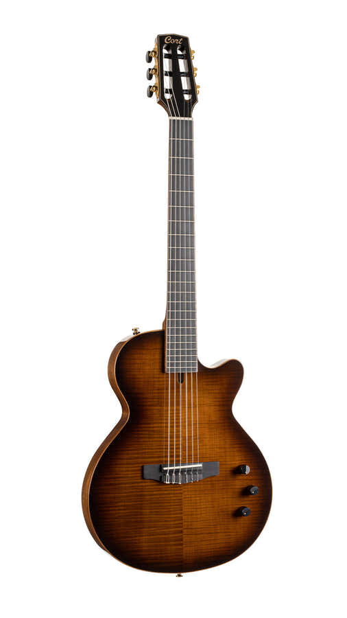 Sunset Nylectric DLX TSB