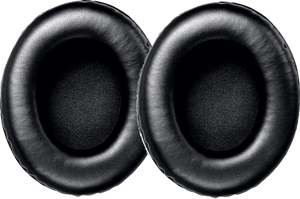 PAIR OF EARPHONES FOR SRH440