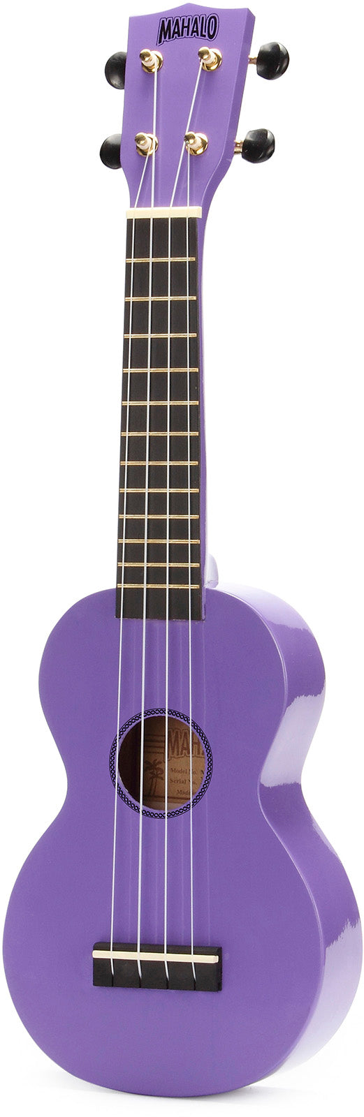Rainbow Mr1 Purple