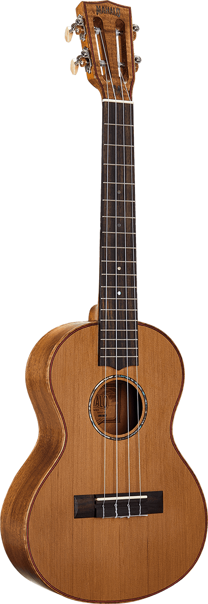 Tenor Natural Elétrico + Bolsa