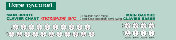 MORGAN II ACORDEO DIATNICO TECLAS BOTES EM SOL/D - LINHA MADEIRA NATURAL ENTREGUE COM MAL