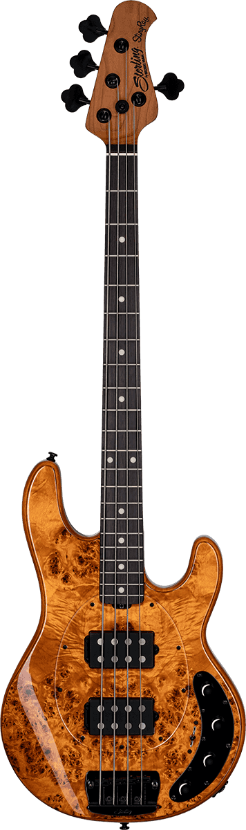 Ray 34 HH Poplar Burl Amber