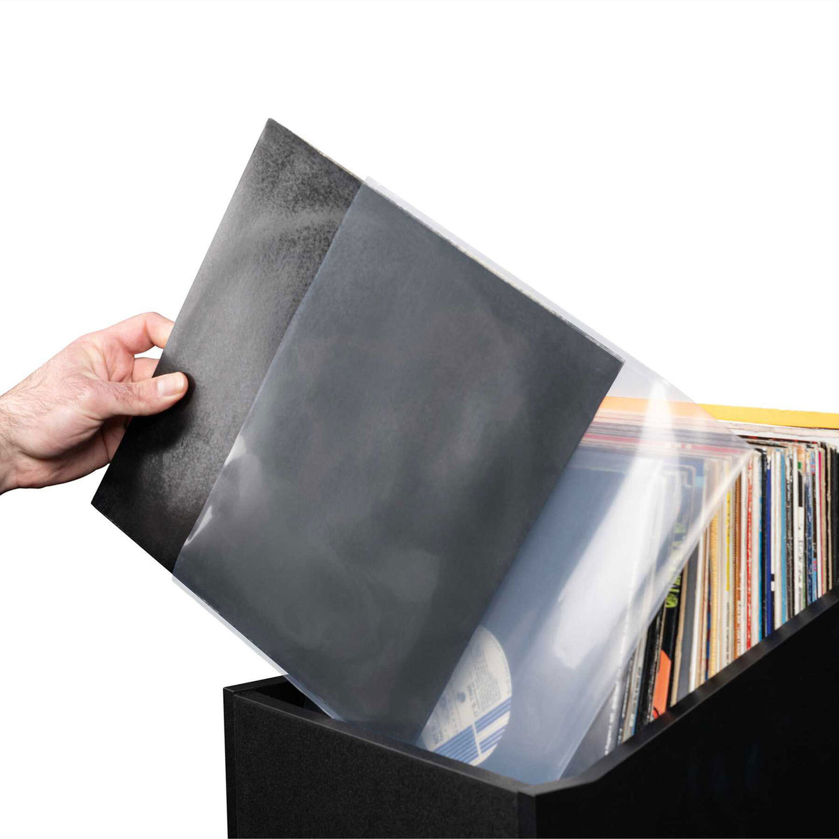 Premium 12 Vinil LP